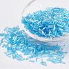 Glass Bugle Beads SEED-E001-9mm-163-1