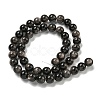 Natural Silver Obsidian Beads Strands G-S150-20A-8mm-3