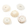 Rough Raw Natural Druzy Agate Beads G-H254-06-1