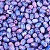 Picasso Glass Seed Beads SEED-N012-10F-3
