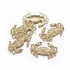 Alloy Pendants TIBEP-A040-016G-NR-1