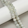 Natural Green Moonstone Beads Strands G-NH0060-A01-01-1