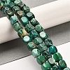 Natural Dolomite Beads Strands G-F765-L03-01-2
