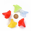 Transparent Acrylic Beads BSF796M-5