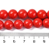 Synthetic Turquoise Beads Strands G-L605-G01-03B-5