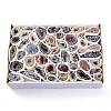 Natural Geode Agate Druzy Agate Display Decorations DJEW-I014-01B-5