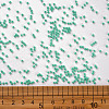 11/0 FGB Grade A Baking Paint Glass Seed Beads X-SEED-N001-A-1030-3