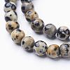 Natural Dalmatian Jasper Beads Strands X-GSR6mmC004-2