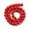 Synthetic Turquoise Beads Strands G-L605-G01-03B-3