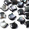Natural Black Lip Shell Beads SSHEL-S258-99A-1
