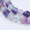 Natural Fluorite Beads Strands G-P318-05-6mm-5