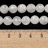 Natural Quartz Crystal Beads Strands X-G-E571-A11-02-5