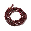 Natural Garnet Beads Strands G-I341-09B-3