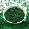 MIYUKI Round Rocailles Beads SEED-X0056-RR0146-2
