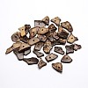 Dyed Chip Coconut Beads X-COCO-N001-23A-1