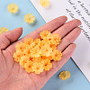 Transparent Frosted Acrylic Bead Caps MACR-S371-04A-724-5