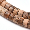 Natural Picture Jasper Beads Strands G-F631-A27-3