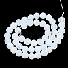 Opalite Beads Strands G-T106-339-3