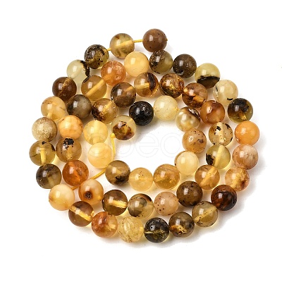 Natural Amber Beads Strands G-K376-H01-01-1