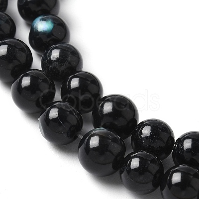 Natural Black Lip Shell Beads Strands SSHEL-C013-01B-1