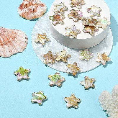 20Pcs Drawbench Style Natural Freshwater Shell Beads BSHE-CJ0001-08-1