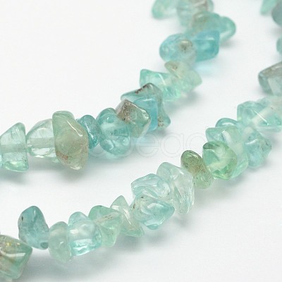 Chips Natural Apatite Beads Strands G-N0164-44-1