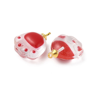 Transparent Resin Pendants FIND-R147-02G-1