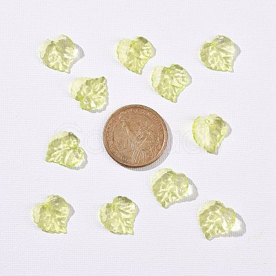 Transparent Acrylic Pendants DBLA410-9-1
