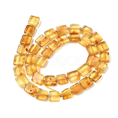 Natural Amber Beads Strands G-C260-A01-03-1