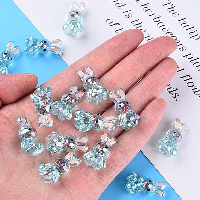 Transparent Acrylic Beads LS-MACR-S373-81-Q03-1