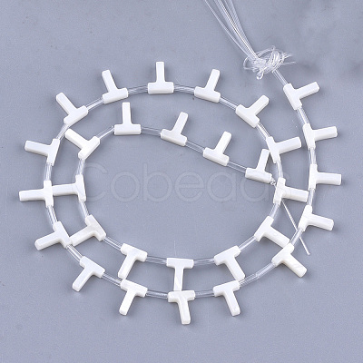 Natural Freshwater Shell Beads SHEL-T012-59T-1