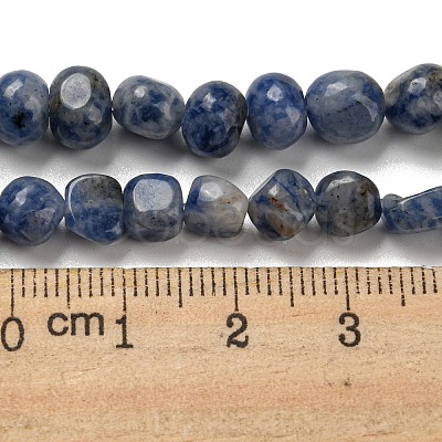 Natural Blue Spot Jasper Bead Strands G-F465-53-1