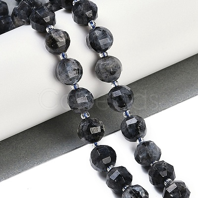 Natural Larvilite Beads Strands G-G182-B03-05-1