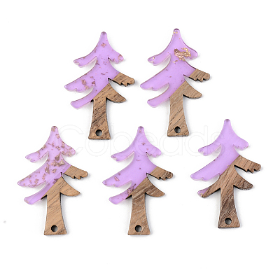 Transparent Resin & Walnut Wood Pendants RESI-S389-008A-B01-1