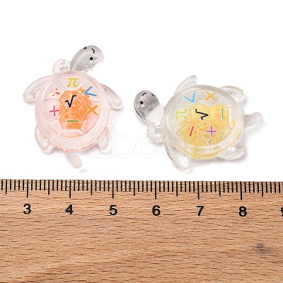 Luminous Transparent Acrylic Pendants TACR-P010-02-1