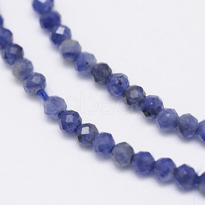 Natural Sodalite Bead Strands G-G936-2mm-19-1