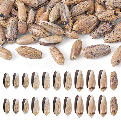 50Pcs Natural Spiral Shell Pendants SSHEL-CW0001-01-1