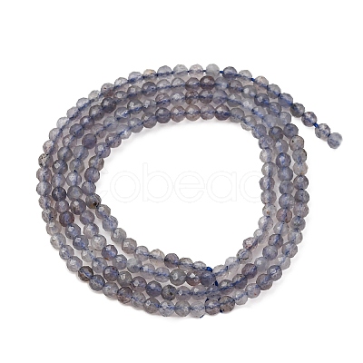 Natural Iolite Beads Strands G-D320-A01-2mm-1