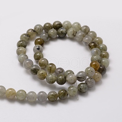 Natural Labradorite Round Beads Strands G-E329-6mm-48-1