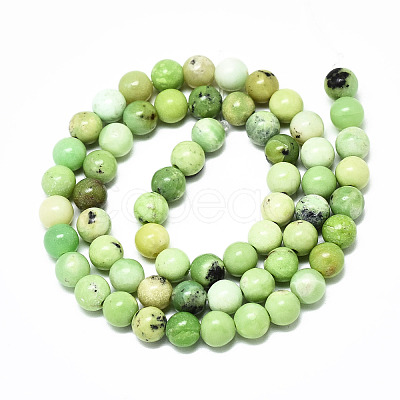 Natural Serpentine Beads Strands G-R485-11-6mm-1