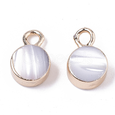 Natural Freshwater Shell Charms SHEL-N026-15-1