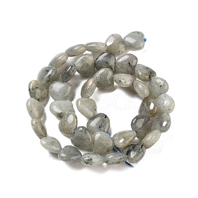Natural Labradorite Beads Strands G-B022-32C-1