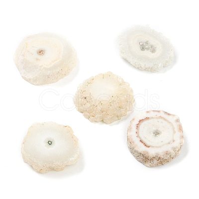 Rough Raw Natural Druzy Agate Beads G-H254-06-1