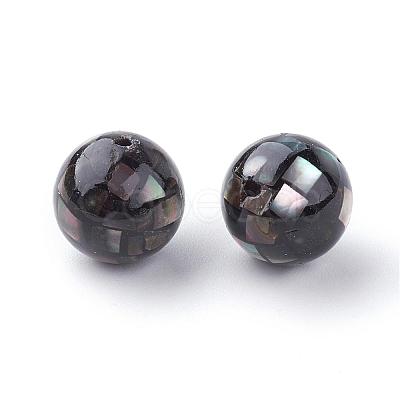 Natural Black Lip Shell Beads SSHEL-Q298-12mm-10-1