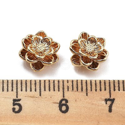 Brass Charms KK-L222-002G-1