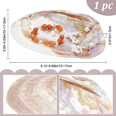 Natural Shell Ring Holder DJEW-WH0001-36-1