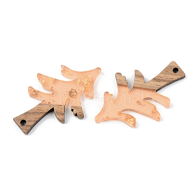 Transparent Resin & Walnut Wood Pendants RESI-S389-008A-B04-1