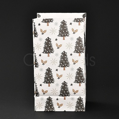 Christmas Theme Rectangle Paper Bags LS-CARB-G006-01K-1