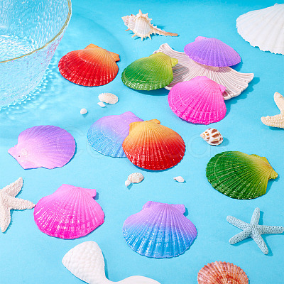 10Pcs 5 Colors Spray Painted Natural Scallop Shell Big Pendants SSHEL-TA0001-23-1