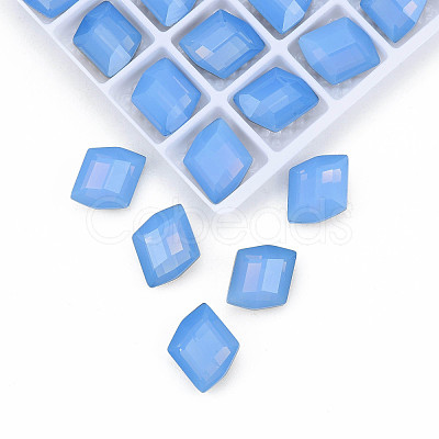 K9 Glass Rhinestone Cabochons MRMJ-N029-25-04-1